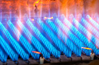 Willisham Tye gas fired boilers